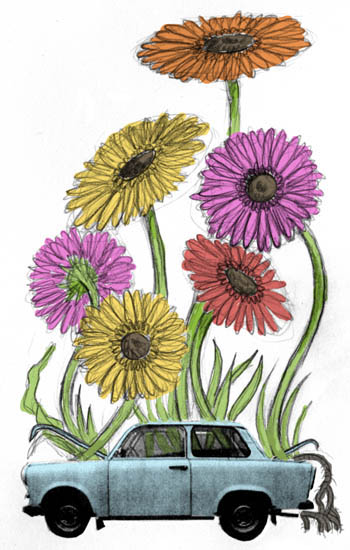 trabant-daisies